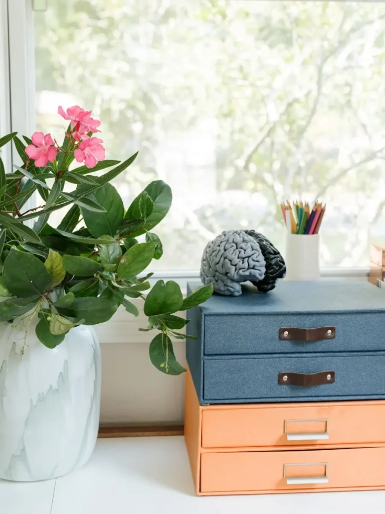 The Cognitive Hub Office Shelf and Brain Model